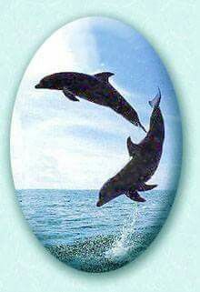 two dolphins jumping out of the water in front of a blue sky and white background