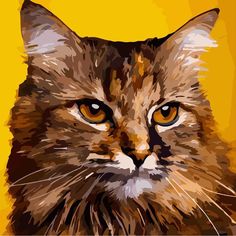 a close up of a cat's face on a yellow background with orange eyes