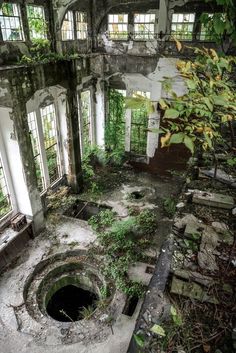 an abandoned building with lots of windows and plants growing out of the hole in the floor