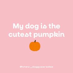 a pink background with an orange pumpkin and the words, my dog is the cutest pumpkin