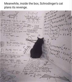 a black cat sitting on top of a white wall covered in lots of writing next to a computer mouse