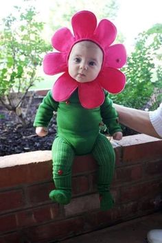 a baby in a flower costume sitting on a brick wall next to a woman's hand