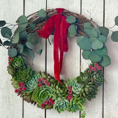 a wreath with succulents and red ribbon hanging on a white wooden wall