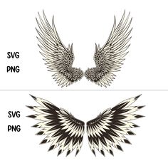 an image of two wings with black and white designs on the front, side and back