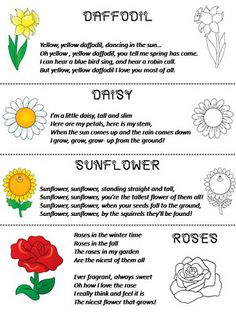 a poem with flowers on it and the words in different languages written below them are examples of flower meanings