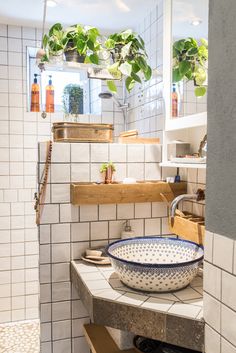 a bowl is sitting on the counter in front of a mirror and shelves with plants