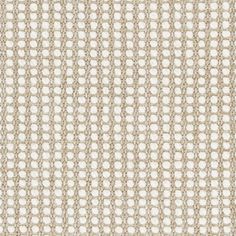 a white and beige background with small circles