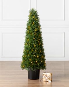 a small christmas tree in a black pot next to a gold gift box on a wooden floor