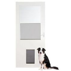 a black and white dog sitting in front of a door with a mirror on it's side