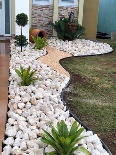 some plants and rocks in front of a house