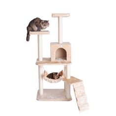 two cats sitting on top of a cat tree