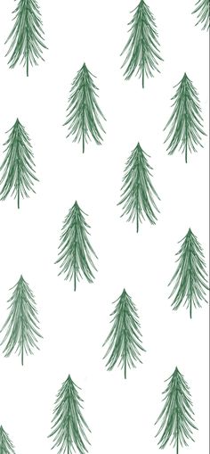 green pine trees on white background