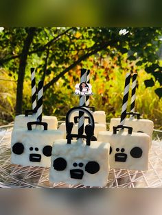 there are four cake shaped like pandas with black and white stripes on them, sitting on a glass plate