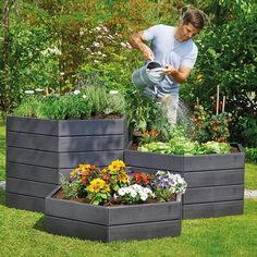 a man watering his garden in the middle of two raised planters, with flowers growing out of them