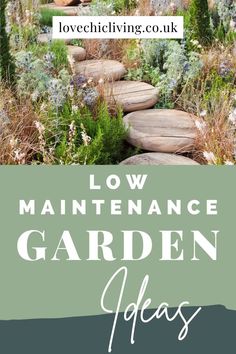 the words low maintenance garden ideas on top of a photo