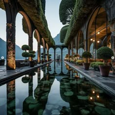 an outdoor swimming pool surrounded by potted trees and greenery at dusk with lights on