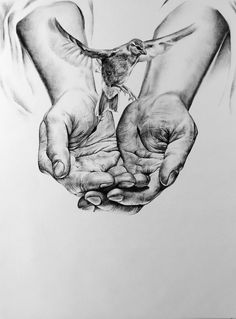 a drawing of two hands holding a bird