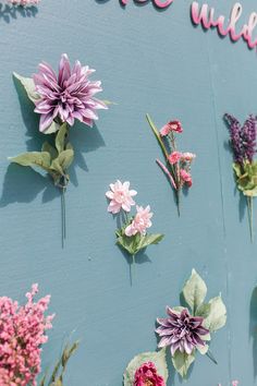 there are many different flowers on the wall