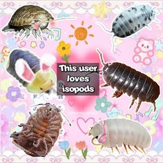 this user loves ispooos, and it's all different kinds of bugs