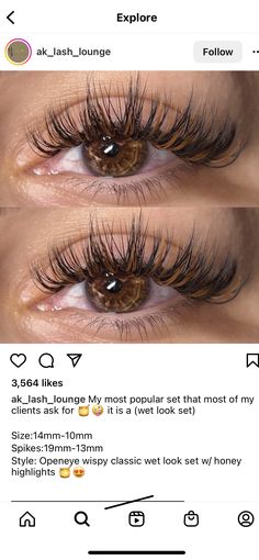 Eyelash Extensions Styles 2023, Eyelash Pattern Lashes, Brown Black Lash Extensions, Brown Lashes Black Women, Doll Eye Vs Open Eye Lash Extensions, Hybrid Angel Lashes, Brown Lashes On Dark Skin, Wet Eyelash Look, Brown Lash Set