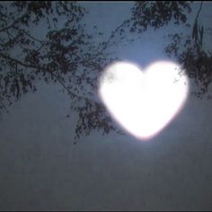 a heart - shaped light shines through the branches of a tree