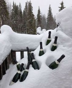 several bottles of champagne sitting in the snow on a wooden fence with trees in the background