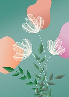 three pink and white flowers in a vase on a green background with two heart shaped balloons