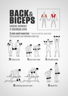 the back and biceps exercise poster shows how to do dumbbles with one hand