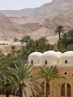 palm trees in front of a building with mountains in the back ground and desert landscape