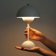 a person holding a lamp in their hand