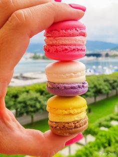 a hand holding a stack of colorful macaroons