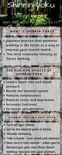 Shinrin Yoku - how to practice the Japanese tradition of forest bathing | 203Challenges Japanese Forest, Nature Peace, Ideas Quotes, Nature Quotes