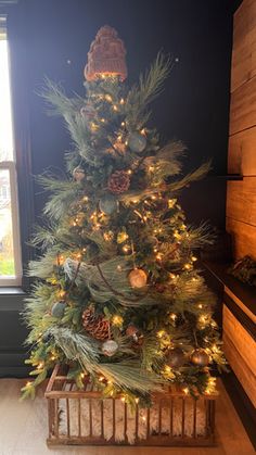 a small christmas tree in a wooden crate with pine cones and lights on it, next to a window