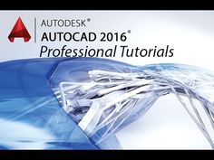 the autocad 2016 professional manual is displayed