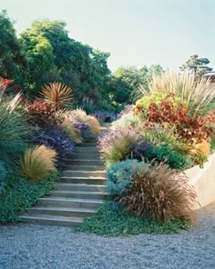 a garden with steps leading up to it