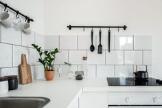 a white kitchen with black and white tiles on the wall, potted plants in front of the stove