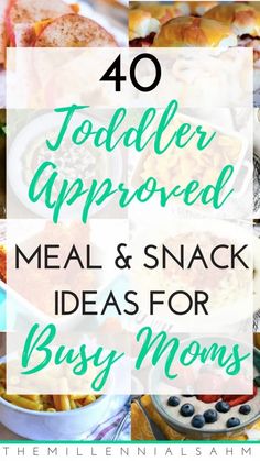 the words 40 toddler approved meal and snack ideas for busy moms