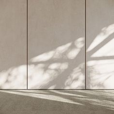 an empty room with white walls and shadows on the wall, as well as a plant