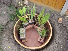 several potted plants are placed in the middle of a garden area with dirt on the ground