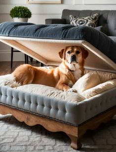 a dog laying on top of a bed in the middle of a living room area