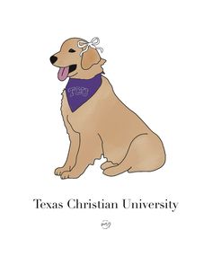 a dog wearing a bandana with the words texas christian university