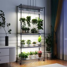 a room filled with lots of potted plants on top of metal shelving units