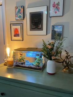 a fish tank sitting on top of a green table next to pictures and flowers in vases