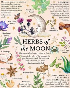 Aries Full Moon, Sage Herb