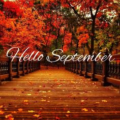 an autumn scene with the words hello november