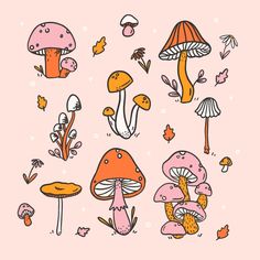 various mushrooms and leaves on a pink background