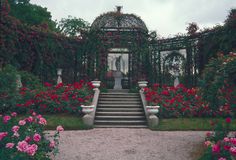 a garden with flowers and steps leading up to it