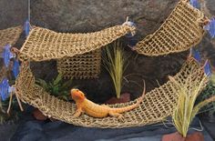 there is a small toy alligator in a hammock made out of grass and plants