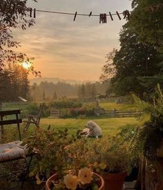 the dog is laying down on the deck in the yard, watching the sun go down