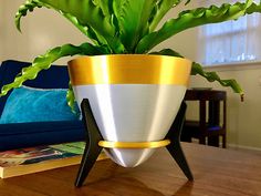 a potted plant sitting on top of a wooden table